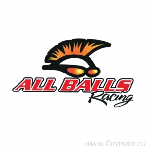   All Balls 18-3160